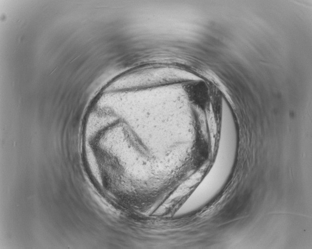 X0000088030795200706011348