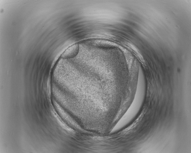 X0000088030796200706011348