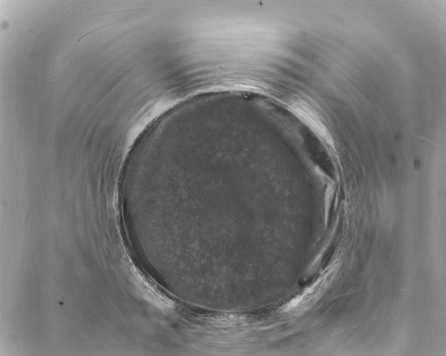 X0000088030797200706011348