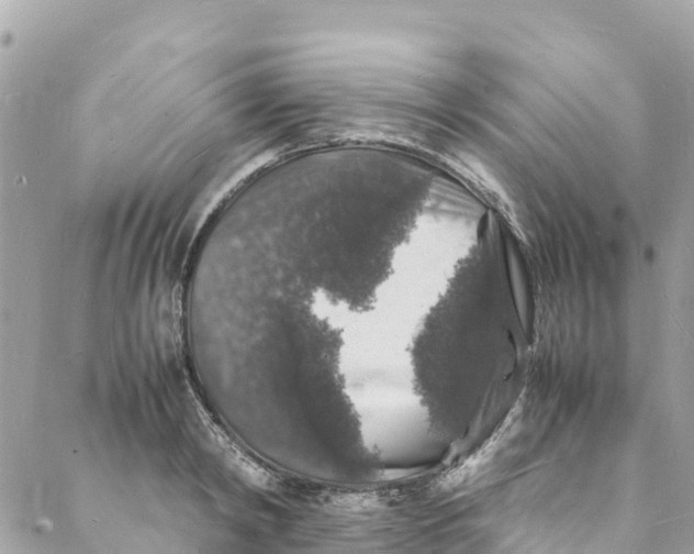 X0000088030798200706011348