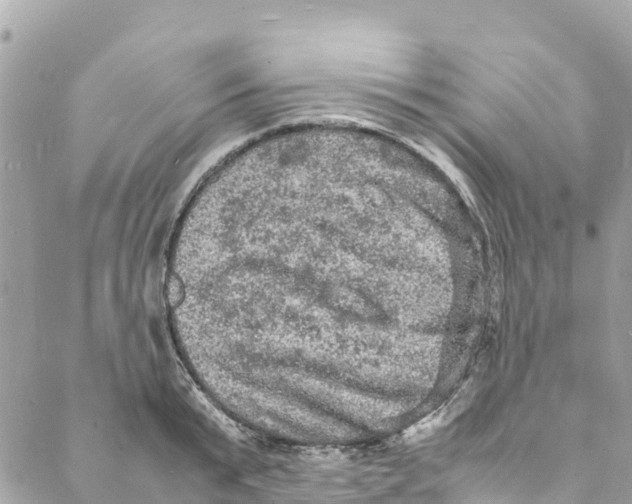 X0000088030799200706011348