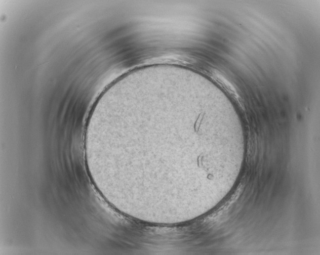 X0000088030800200706011348