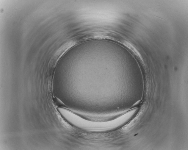 X0000088030801200706011348