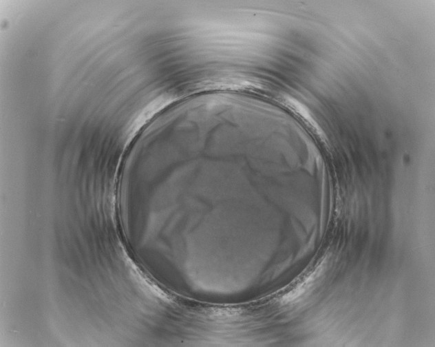 X0000088030802200706011348