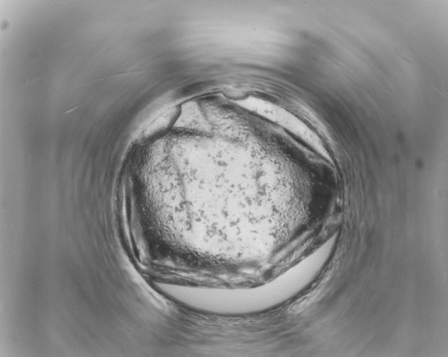 X0000088030803200706011348