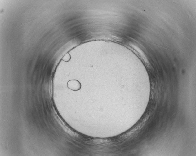 X0000088030804200706011348