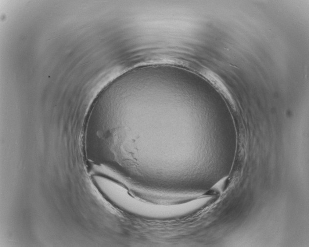 X0000088030805200706011348