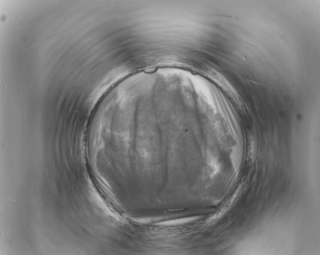 X0000088030806200706011348