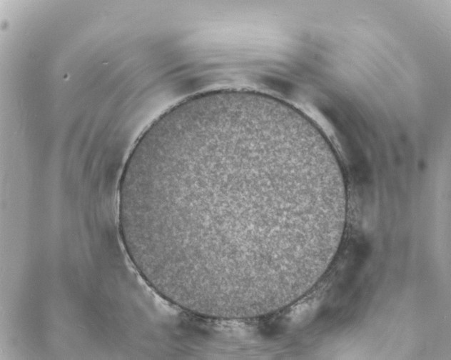 X0000088030807200706011348