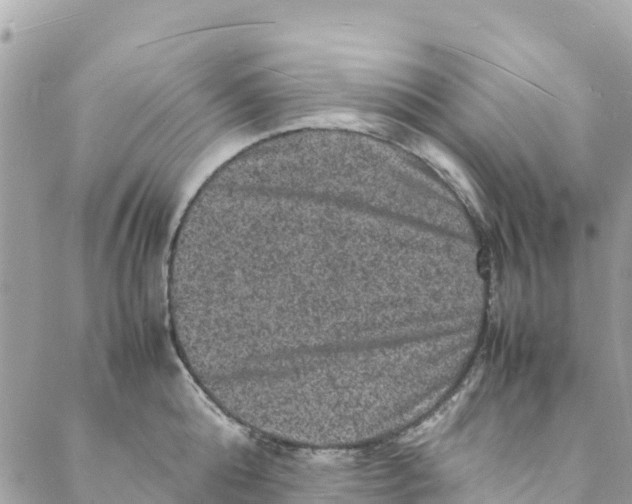 X0000088030808200706011348