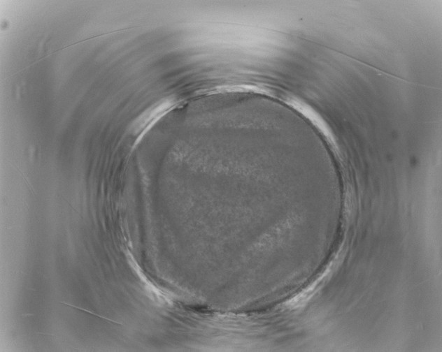 X0000088030809200706011348