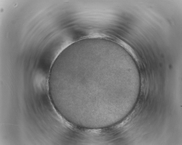 X0000088030810200706011348