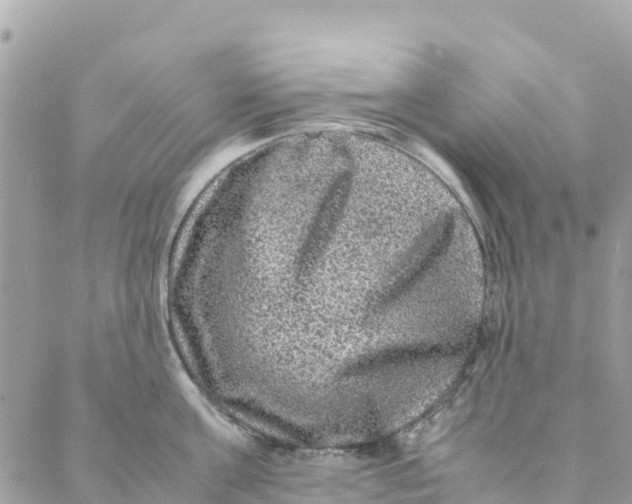 X0000088030811200706011348