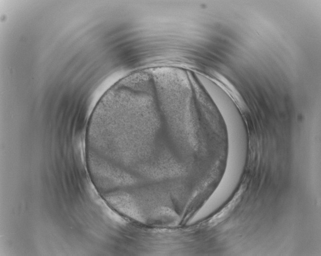 X0000088030812200706011348