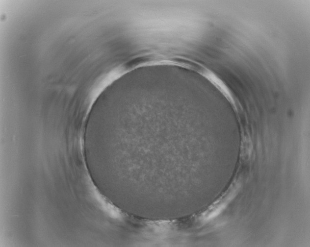 X0000088030813200706011348