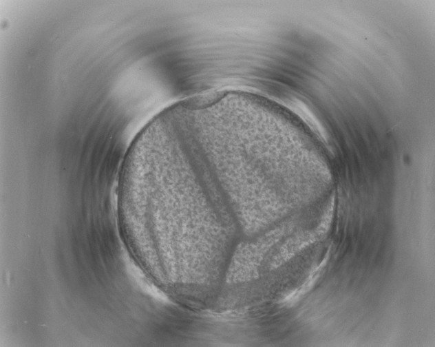 X0000088030814200706011348