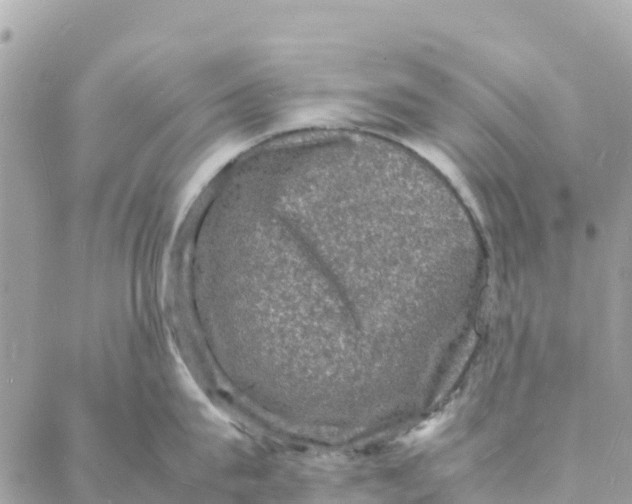 X0000088030815200706011348