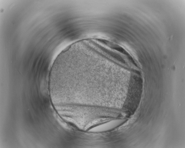 X0000088030816200706011348