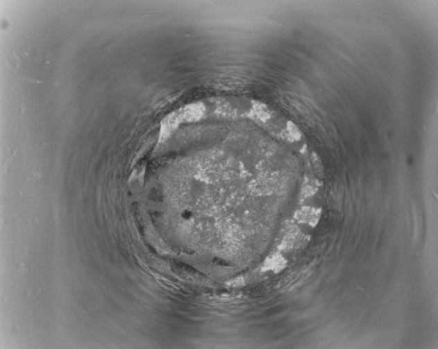 X0000088030817200706011347