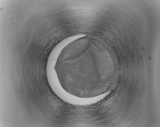 X0000088030818200706011347