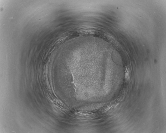 X0000088030819200706011347