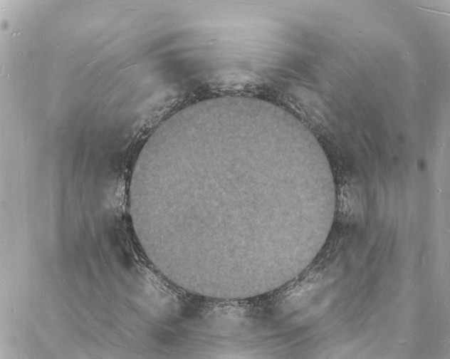 X0000088030820200706011347