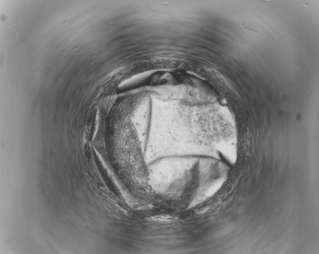 X0000088030821200706011347