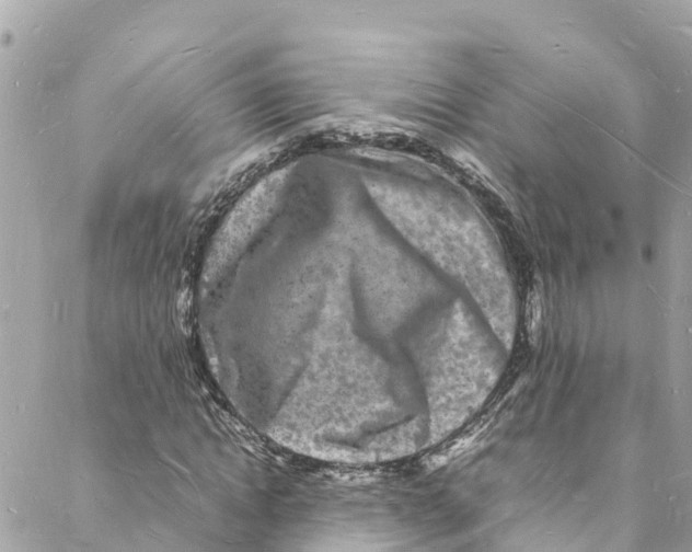 X0000088030822200706011347