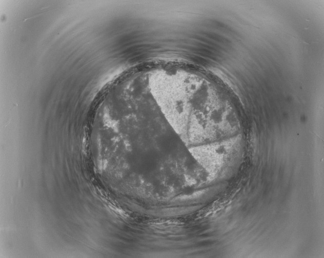 X0000088030823200706011347