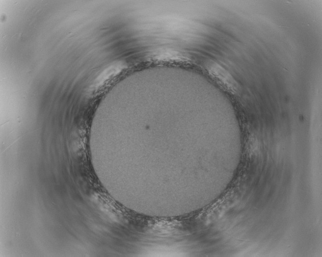 X0000088030824200706011347