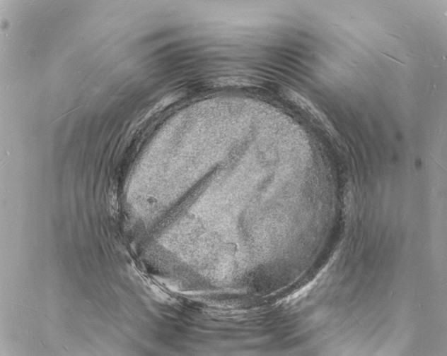 X0000088030825200706011347