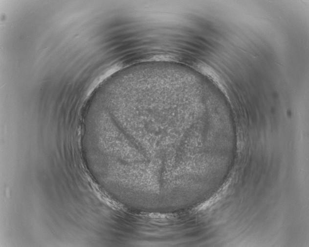 X0000088030827200706011347