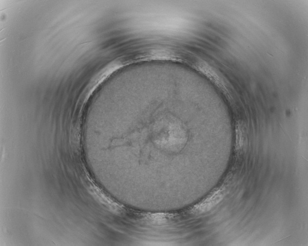 X0000088030828200706011347