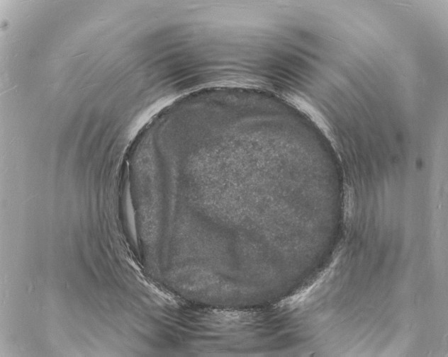 X0000088030829200706011347