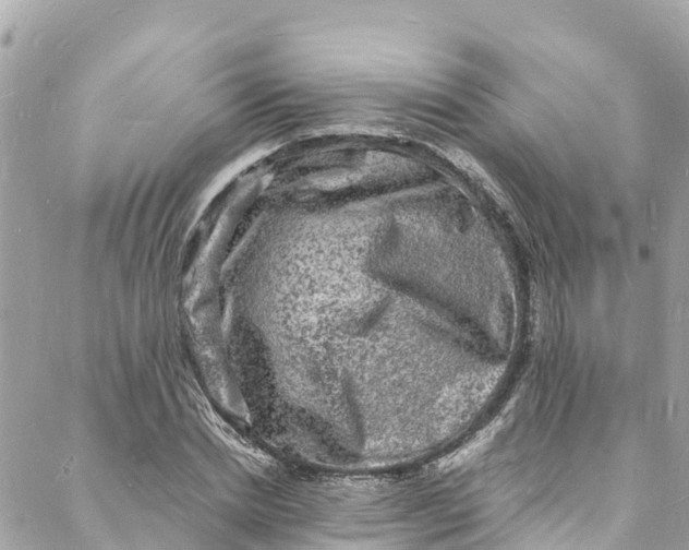 X0000088030830200706011347