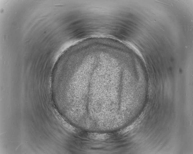 X0000088030831200706011347