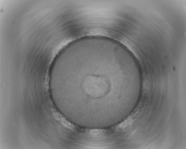 X0000088030832200706011347