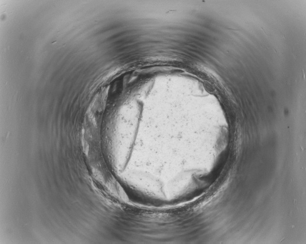 X0000088030833200706011347