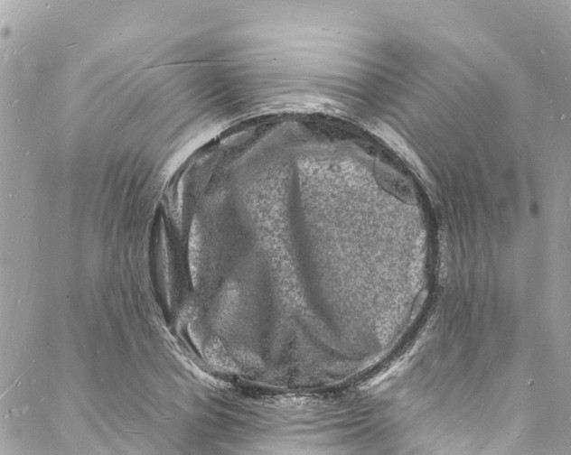 X0000088030834200706011347