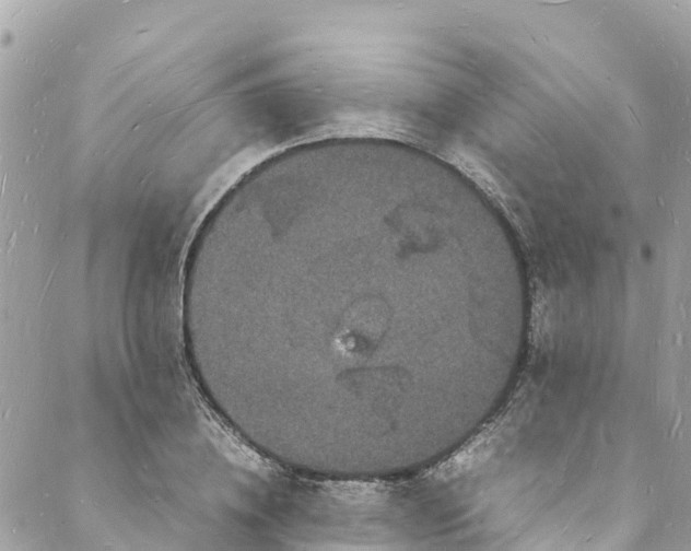 X0000088030836200706011347