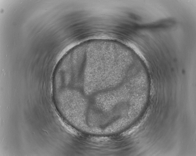 X0000088030837200706011347