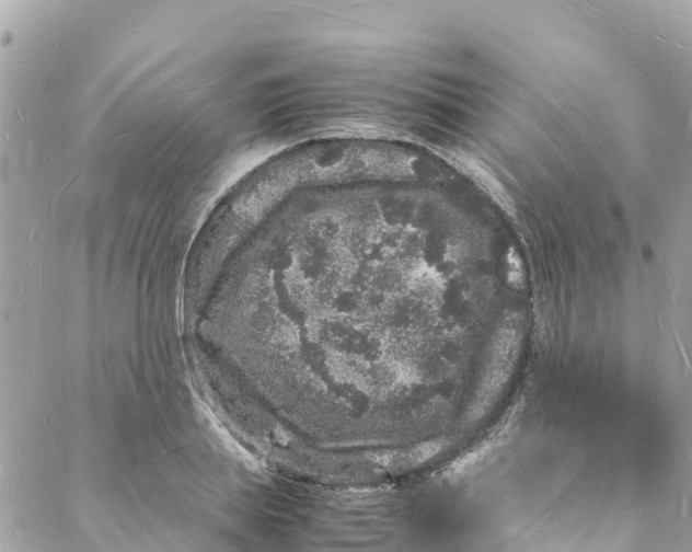 X0000088030839200706011347