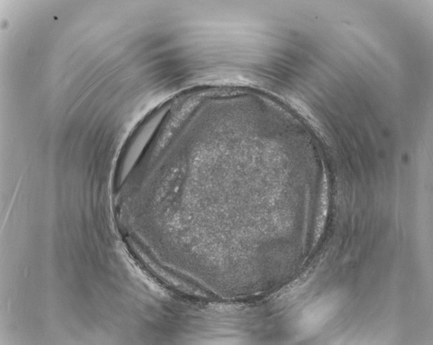 X0000088030840200706011347