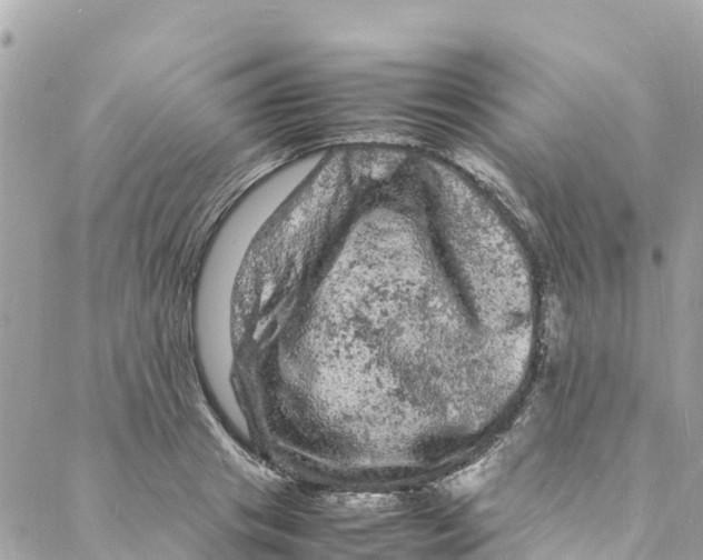 X0000088030841200706011347