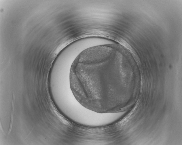 X0000088030842200706011347