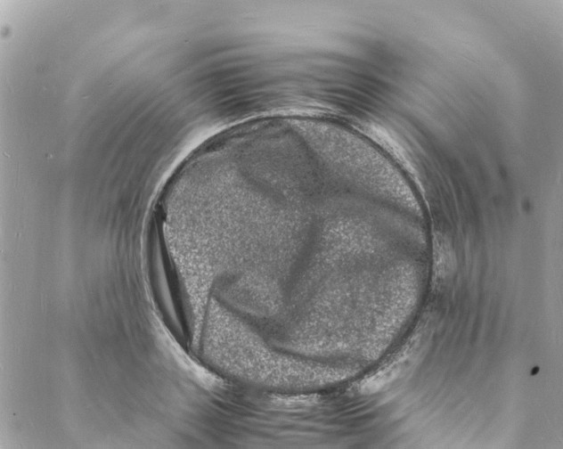 X0000088030843200706011347