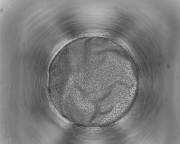 X0000088030844200706011347