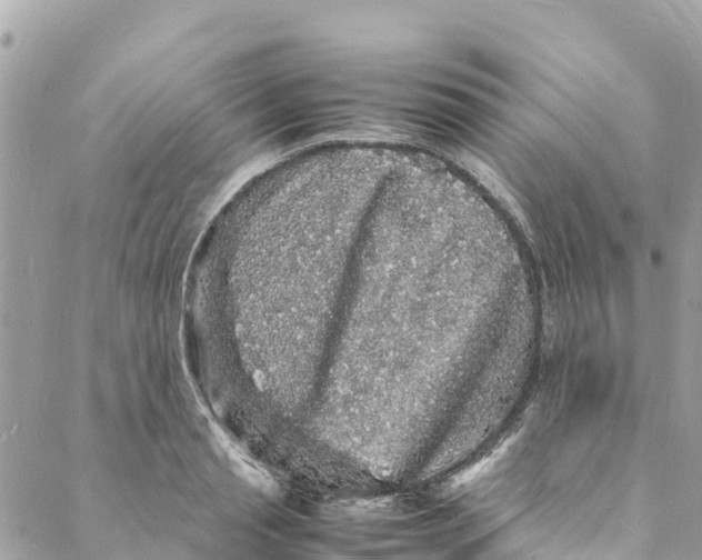 X0000088030845200706011347