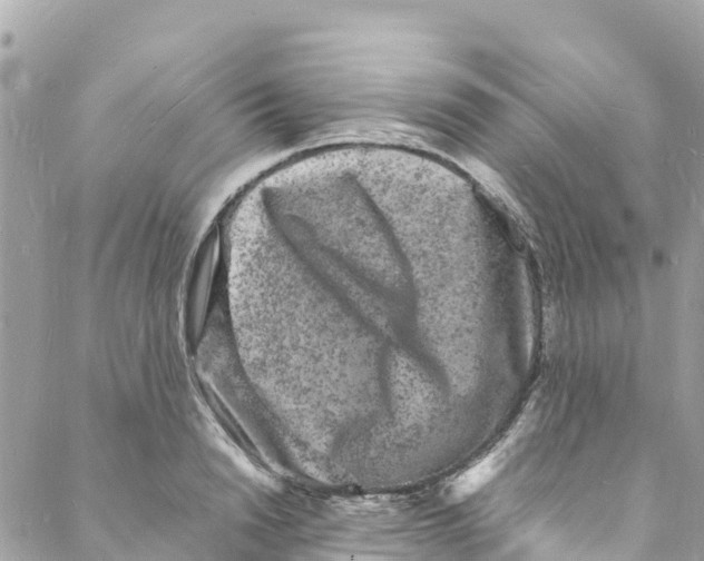 X0000088030846200706011347