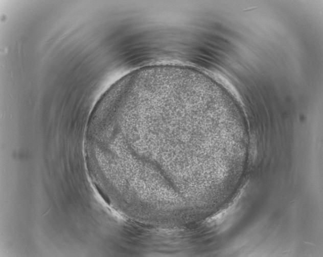 X0000088030847200706011347